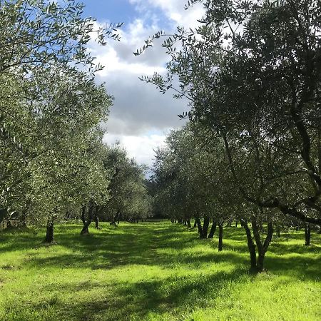 Agriturismo Podere I' Caldino Troghi Exteriör bild
