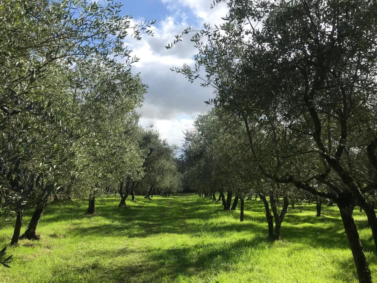 Agriturismo Podere I' Caldino Troghi Exteriör bild