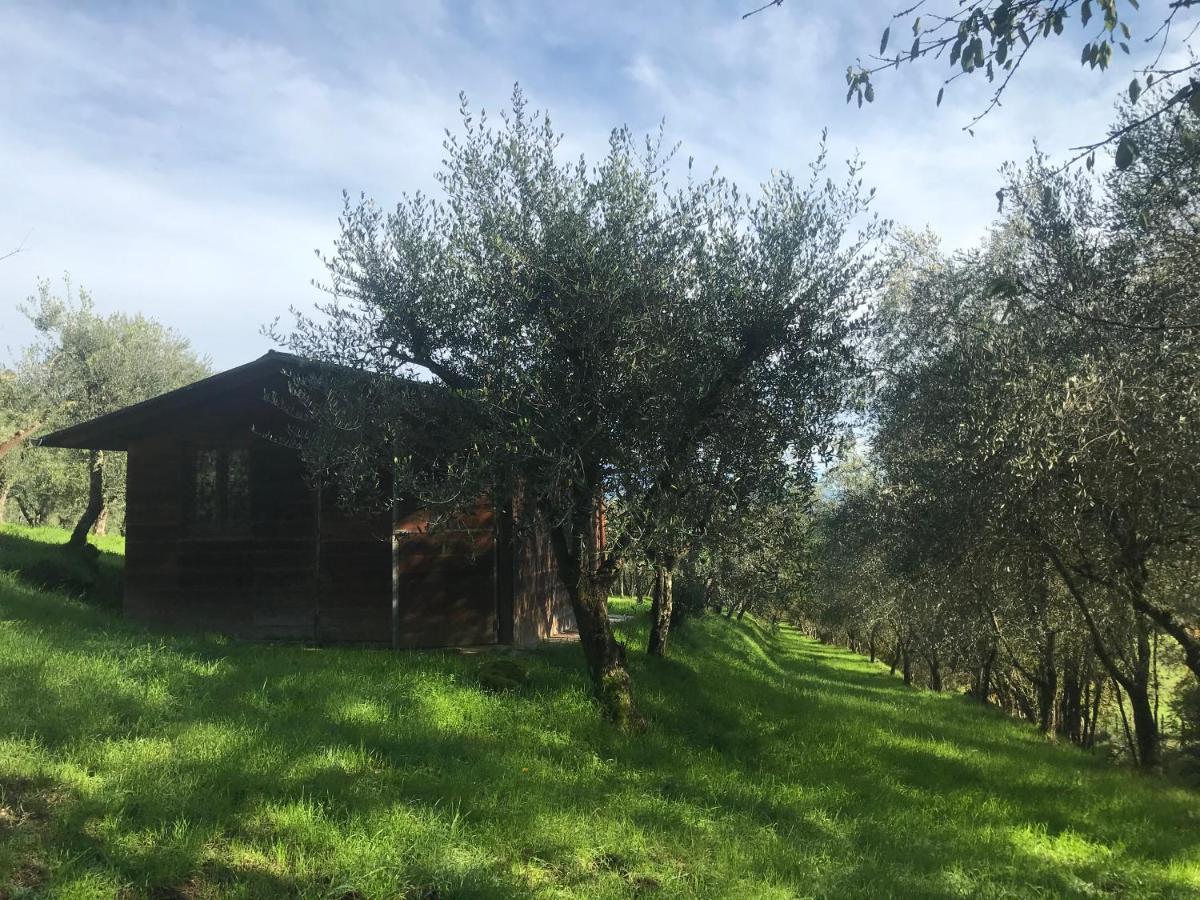 Agriturismo Podere I' Caldino Troghi Exteriör bild